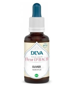 Olivier (Olive - N°23)